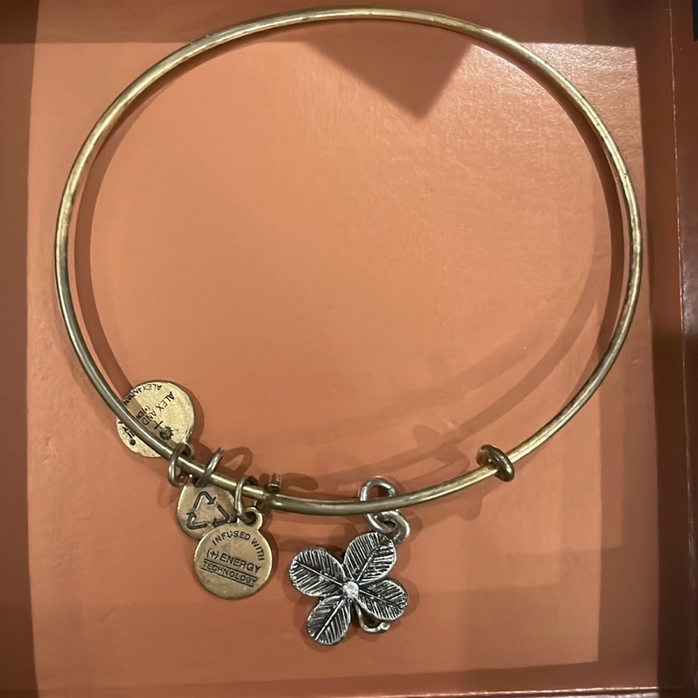 Alex and Ani bracelet
